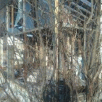 Sloth (USA-2) : Last Night Was Really Fun!